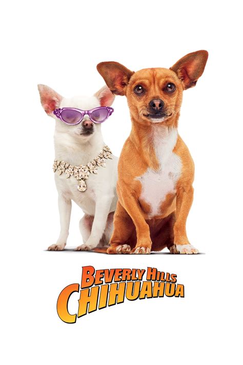 Oct 3, 2008 · In the 13 years since the talking animals of Babe earned a visual effects Oscar for Rhythm & Hues, we've seen increasingly articulate menageries on screen. Walt Disney's Beverly Hills Chihuahua (opening today) features a chattering class comprised of all manner of pooches, voiced by an enviable cast that includes Drew Barrymore, Andy Garcia, George Lopez, Edward James Olmos, Cheech Marin and ... 